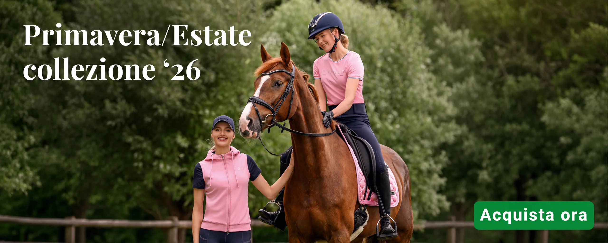 Eccellenza Equestre per Te e il Tuo Cavallo