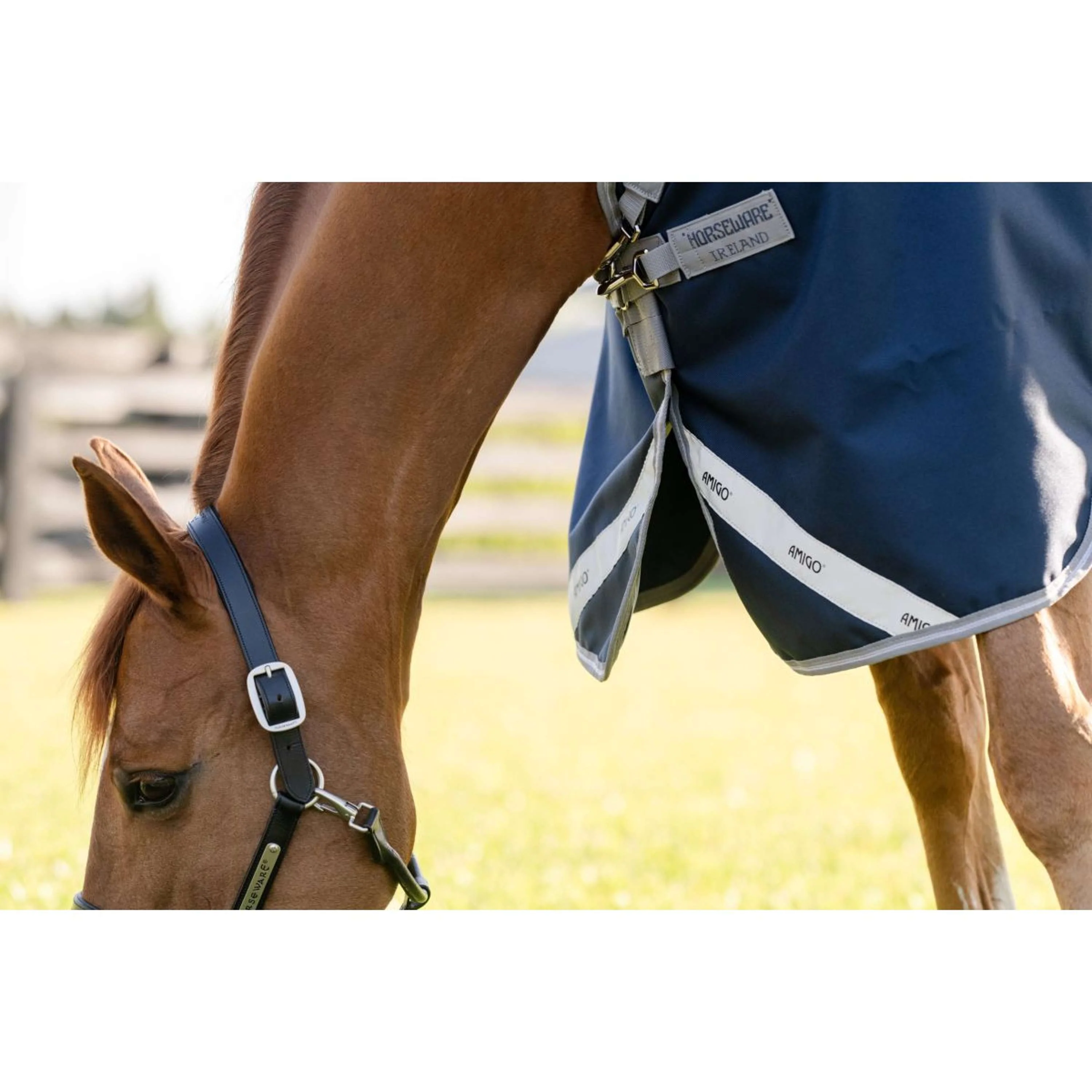 Amigo Bravo 12 Turnout 100g Navy/Titanium Grey - Image 4