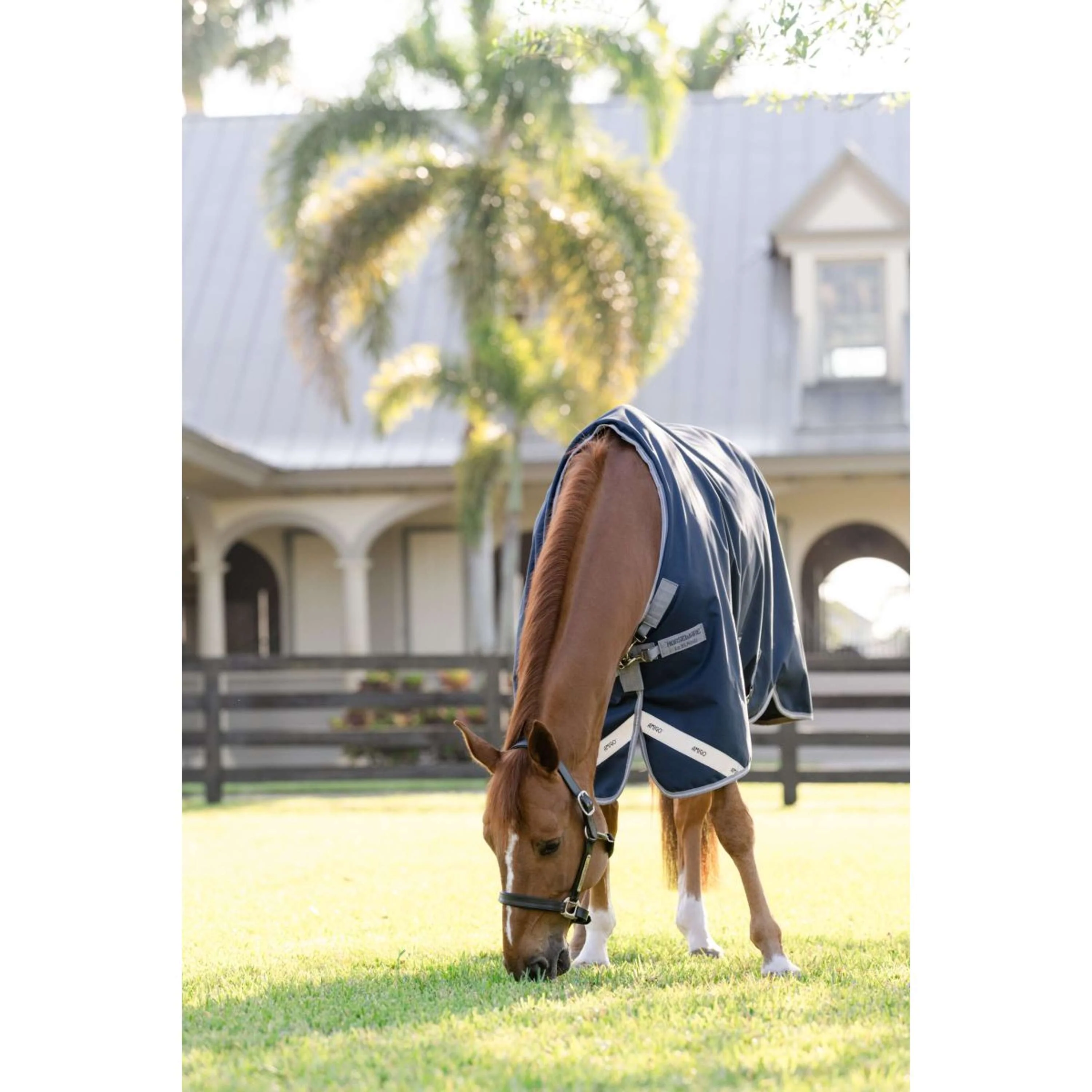 Amigo Bravo 12 Turnout 100g Navy/Titanium Grey - Image 5