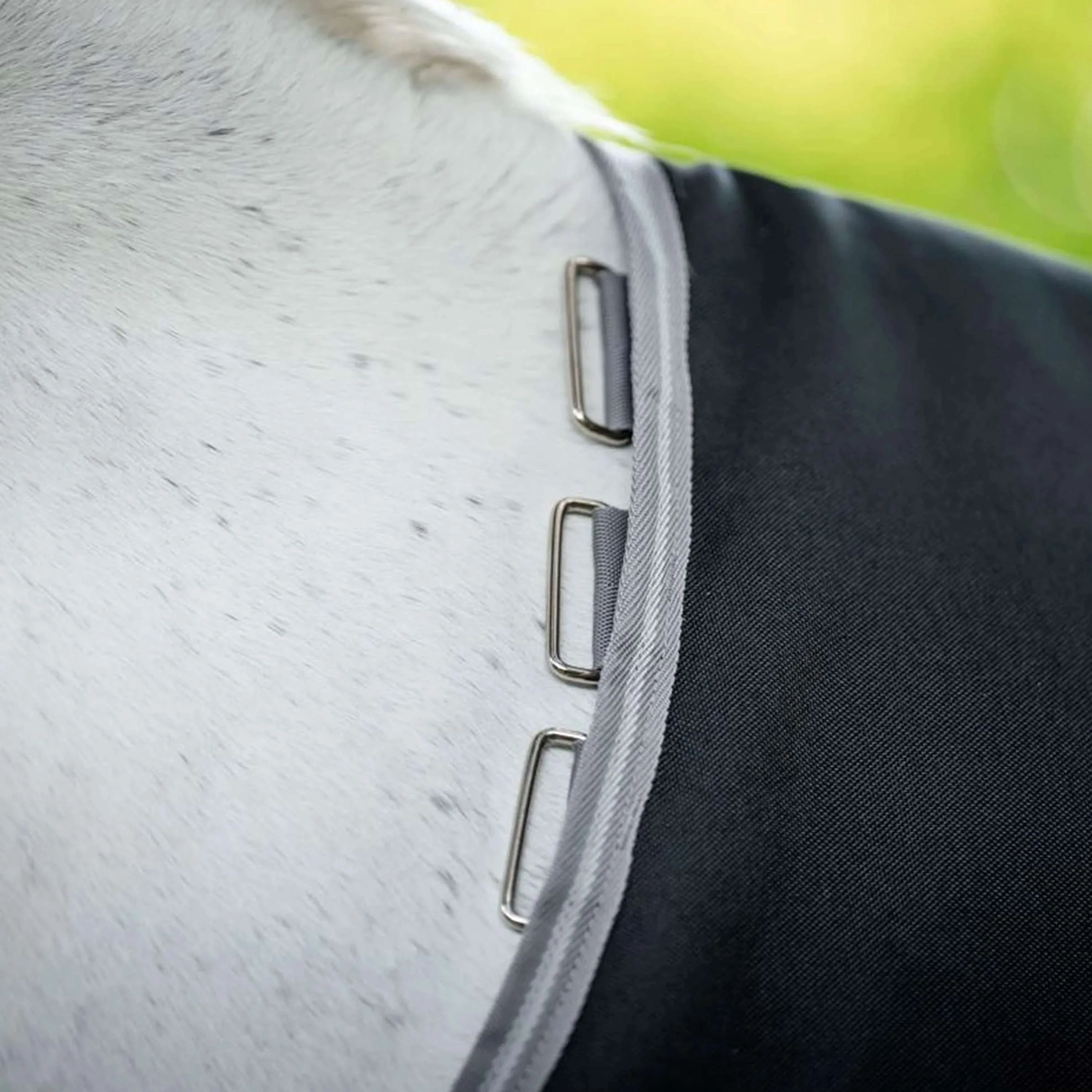 Amigo Bravo 12 Turnout 50g Black/Titanium Grey - Image 5