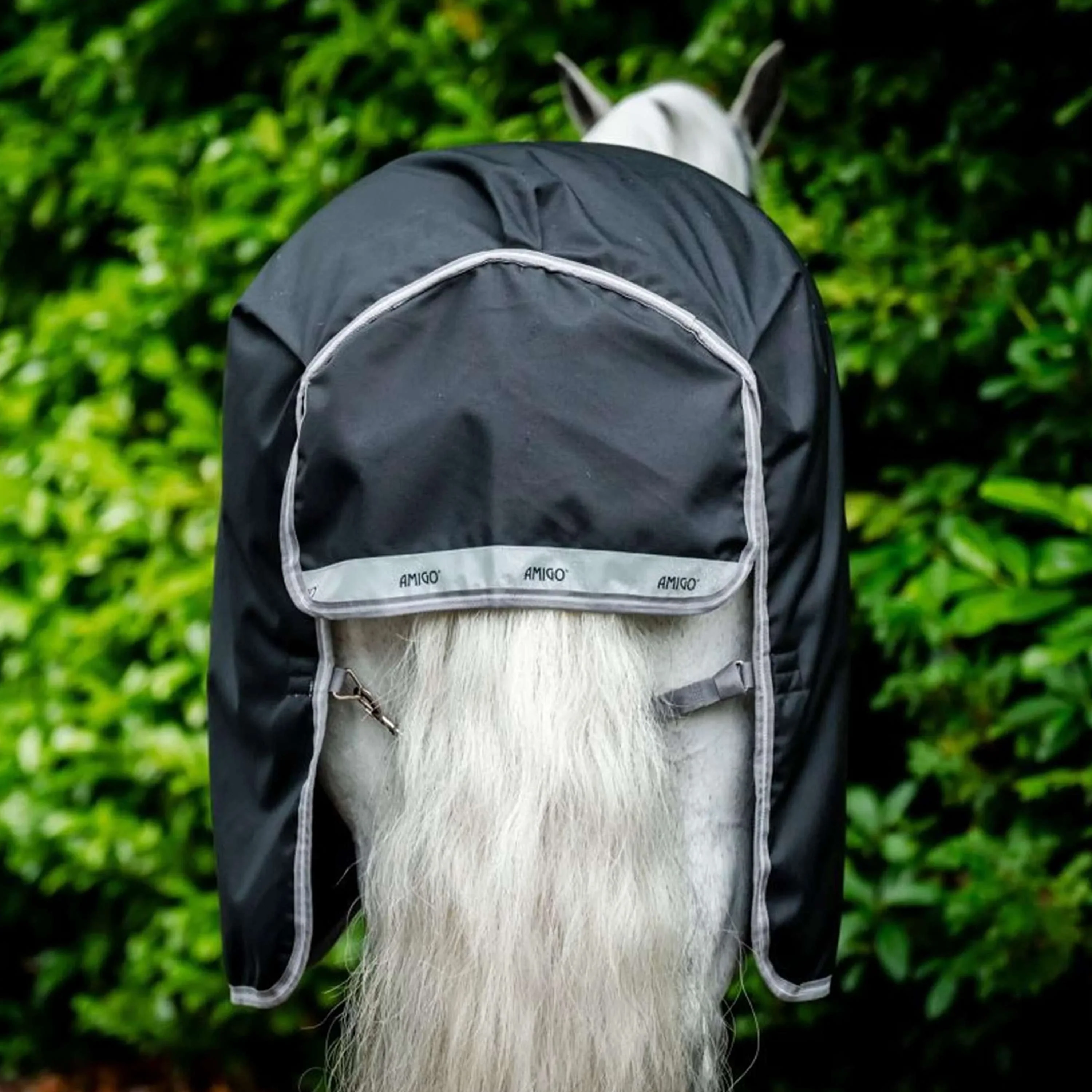 Amigo Bravo 12 Turnout 50g Black/Titanium Grey - Image 7