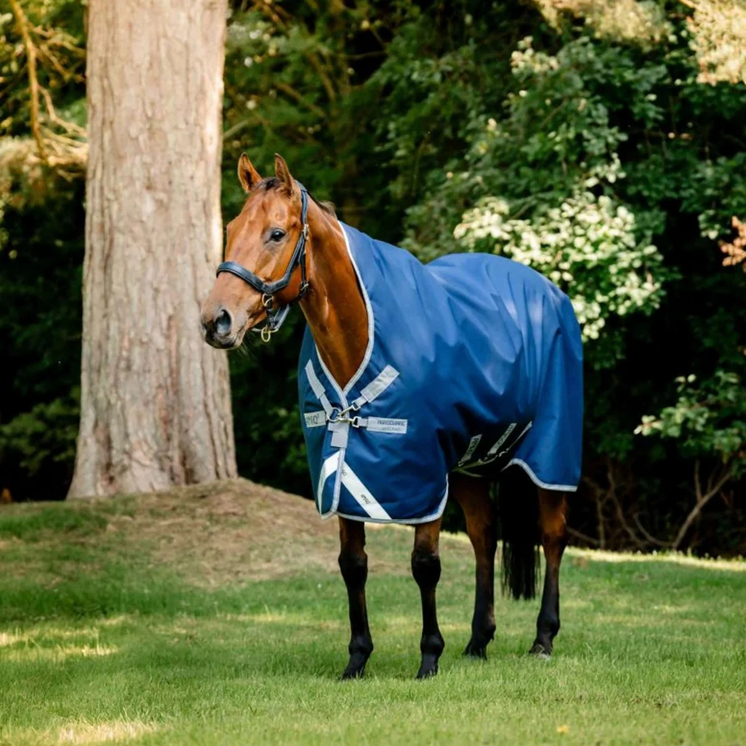 Amigo Bravo 12 Wug Lite 0g Navy/Titanium Grey - Image 3