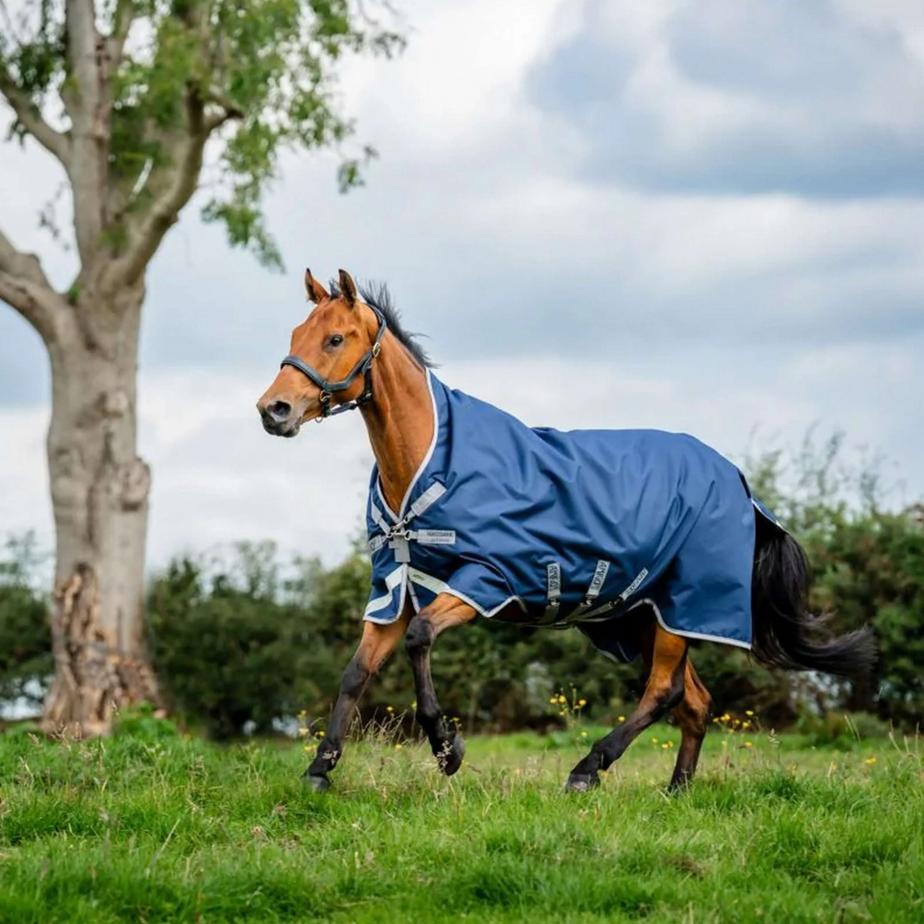 Amigo Bravo 12 Wug Lite 0g Navy/Titanium Grey - Image 4