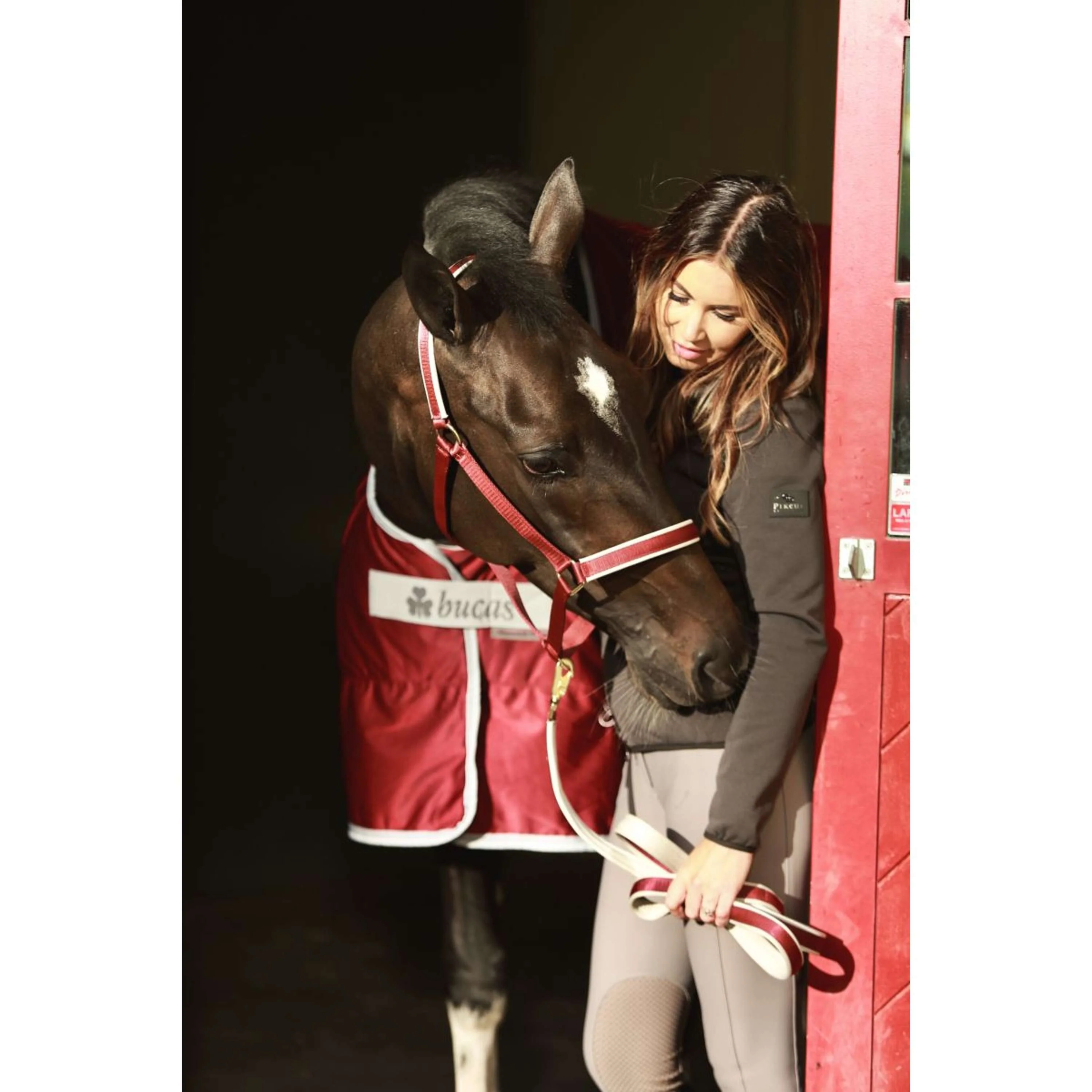 Bucas Lead Rein Dublin Padded Wine/Silver - Image 3