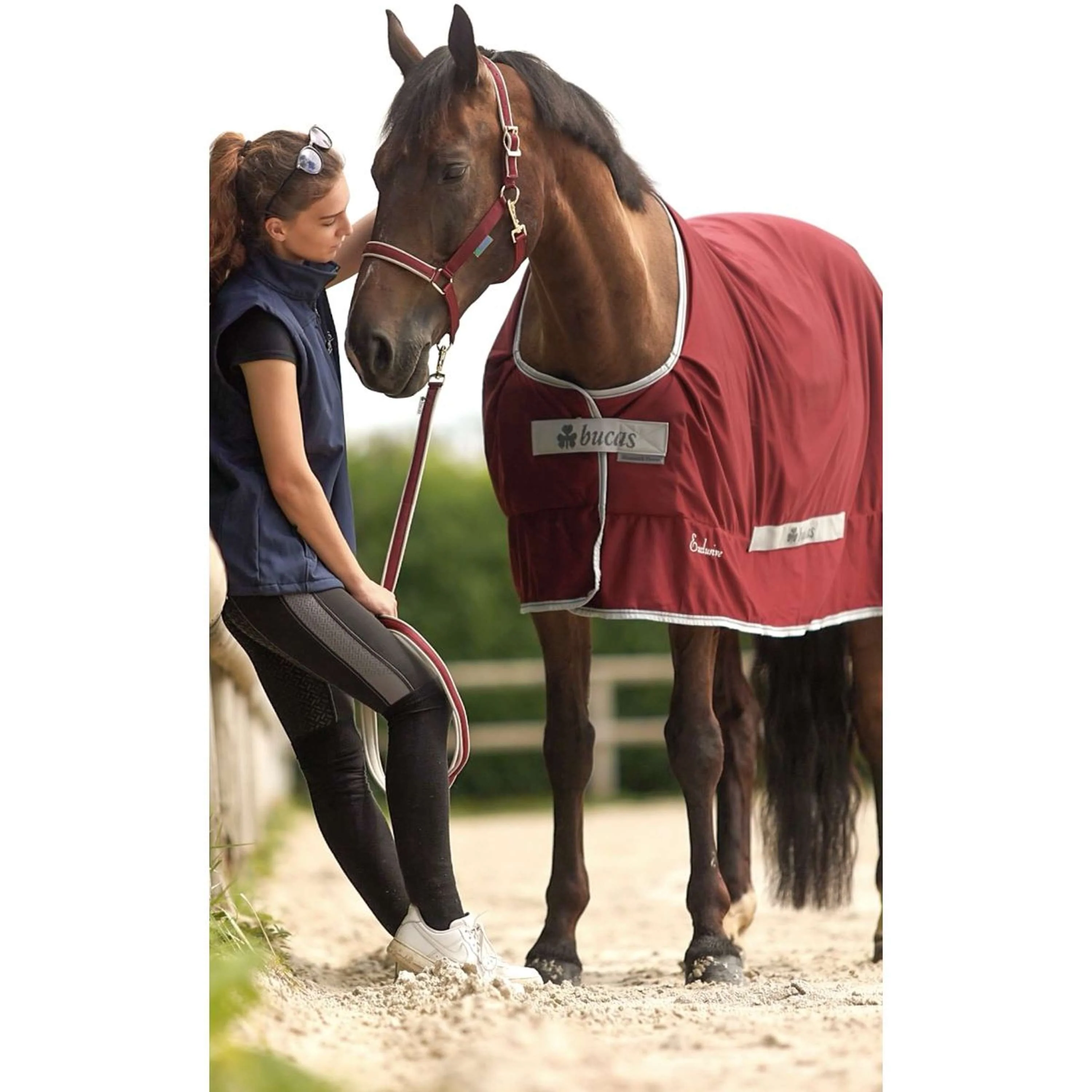 Bucas Lead Rein Dublin Padded Wine/Silver - Image 4