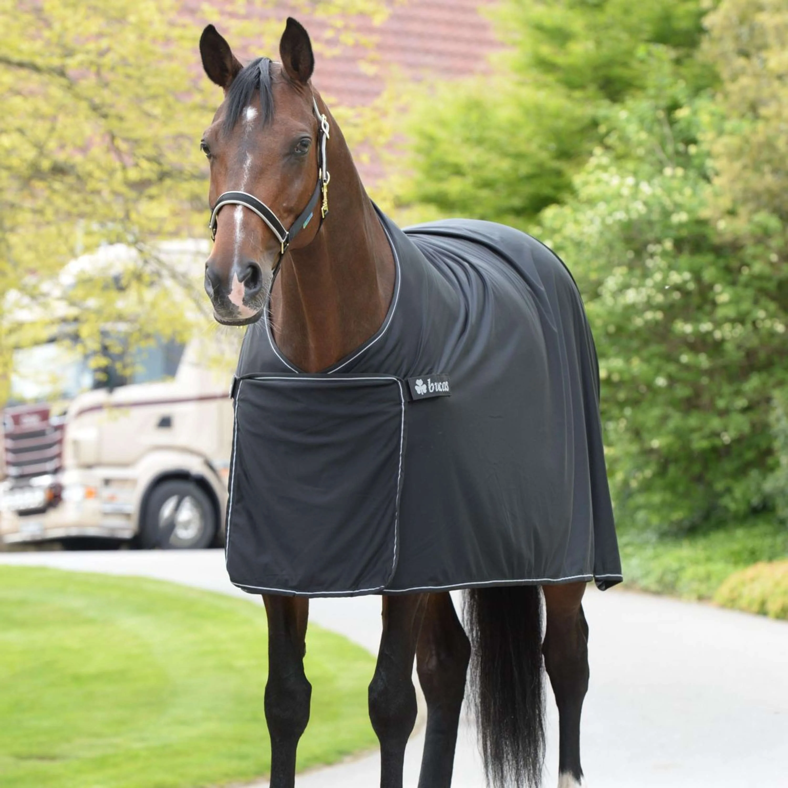 Bucas Panel Prize Cooler Black/Silver - Image 10