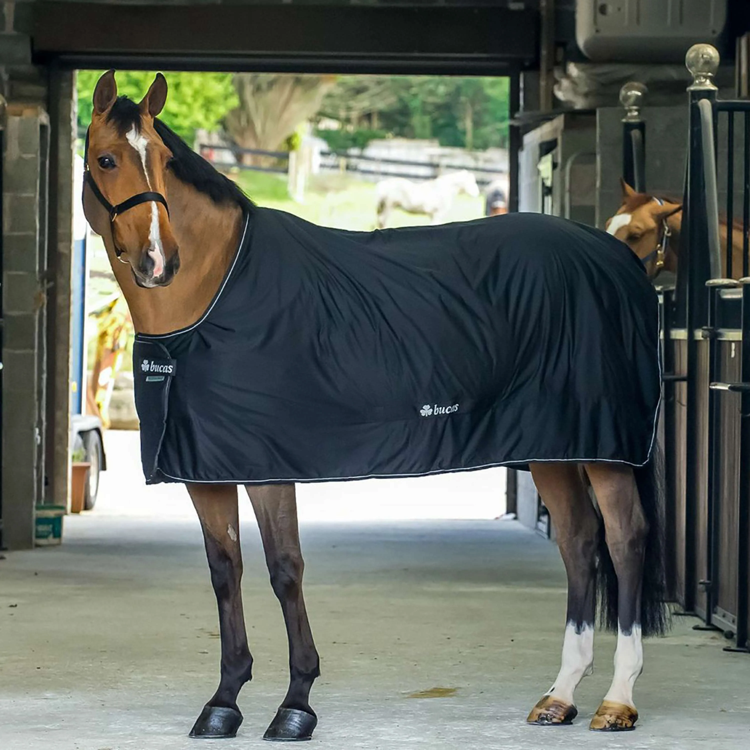 Bucas Shamrock Power Black/Silver - Image 10