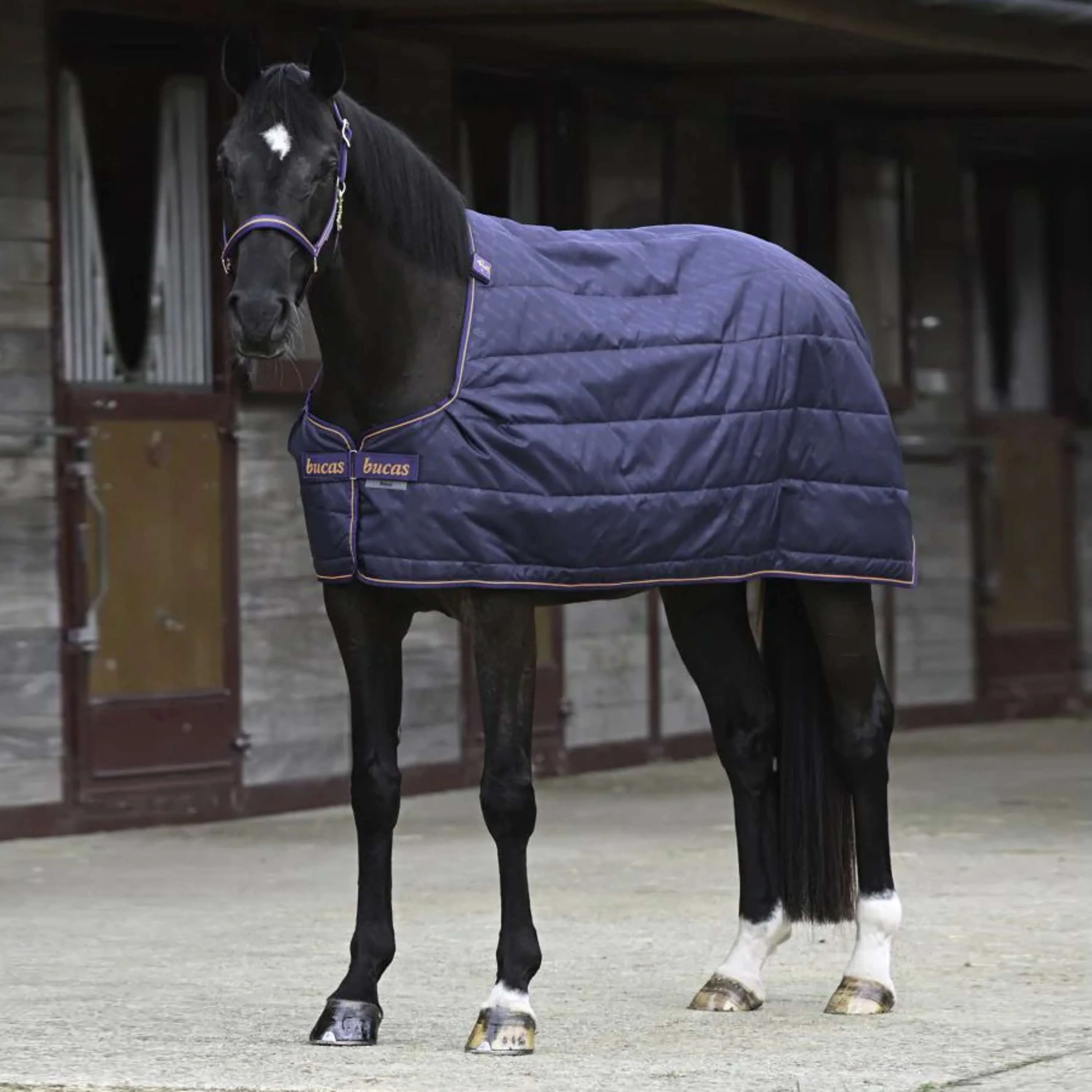 Bucas Therapy Liner Blu marino/arancione - Image 3