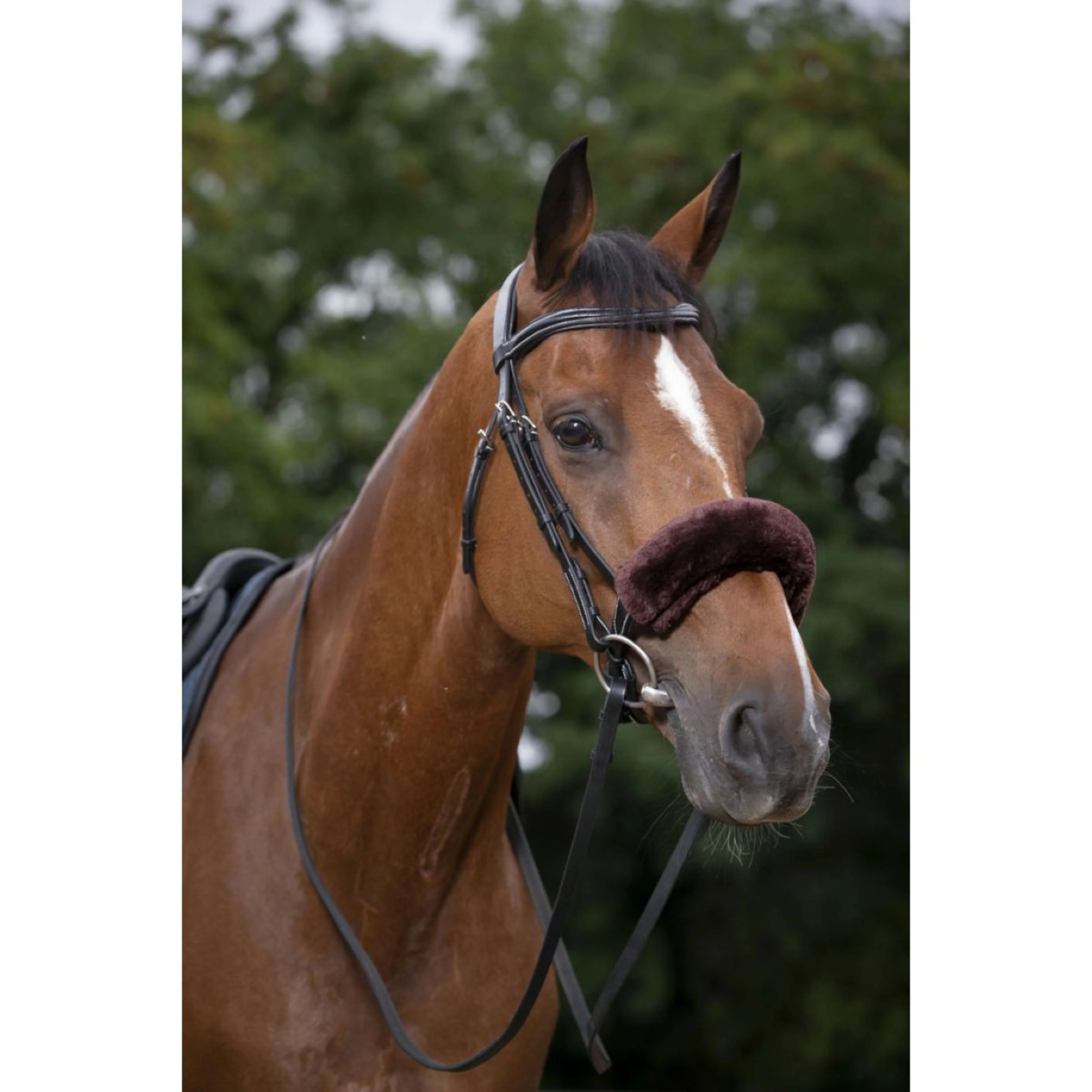 EQUITHÈME Fodera per Nasello Teddy Marrone - Image 3