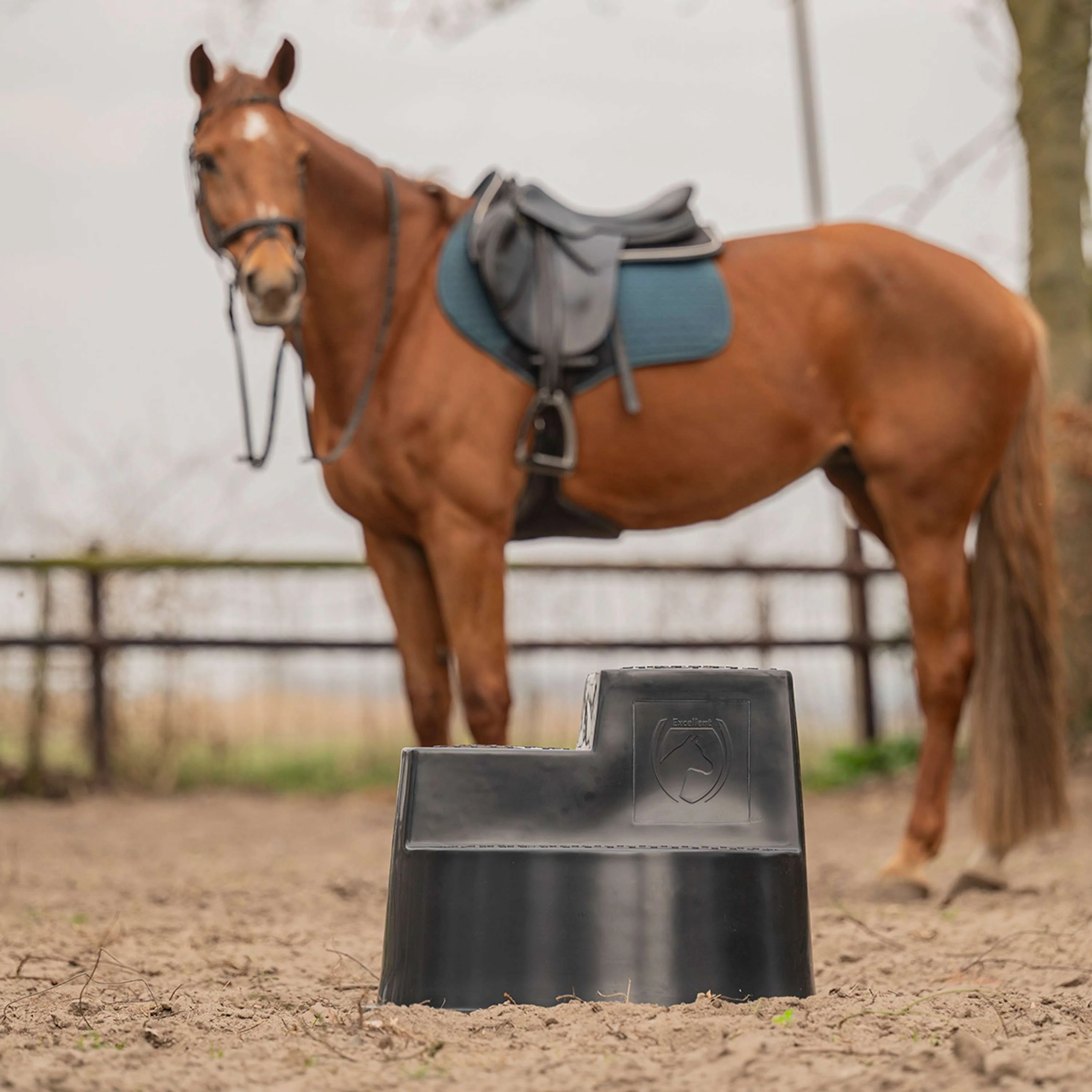 Excellent Gradino Nero - Image 4