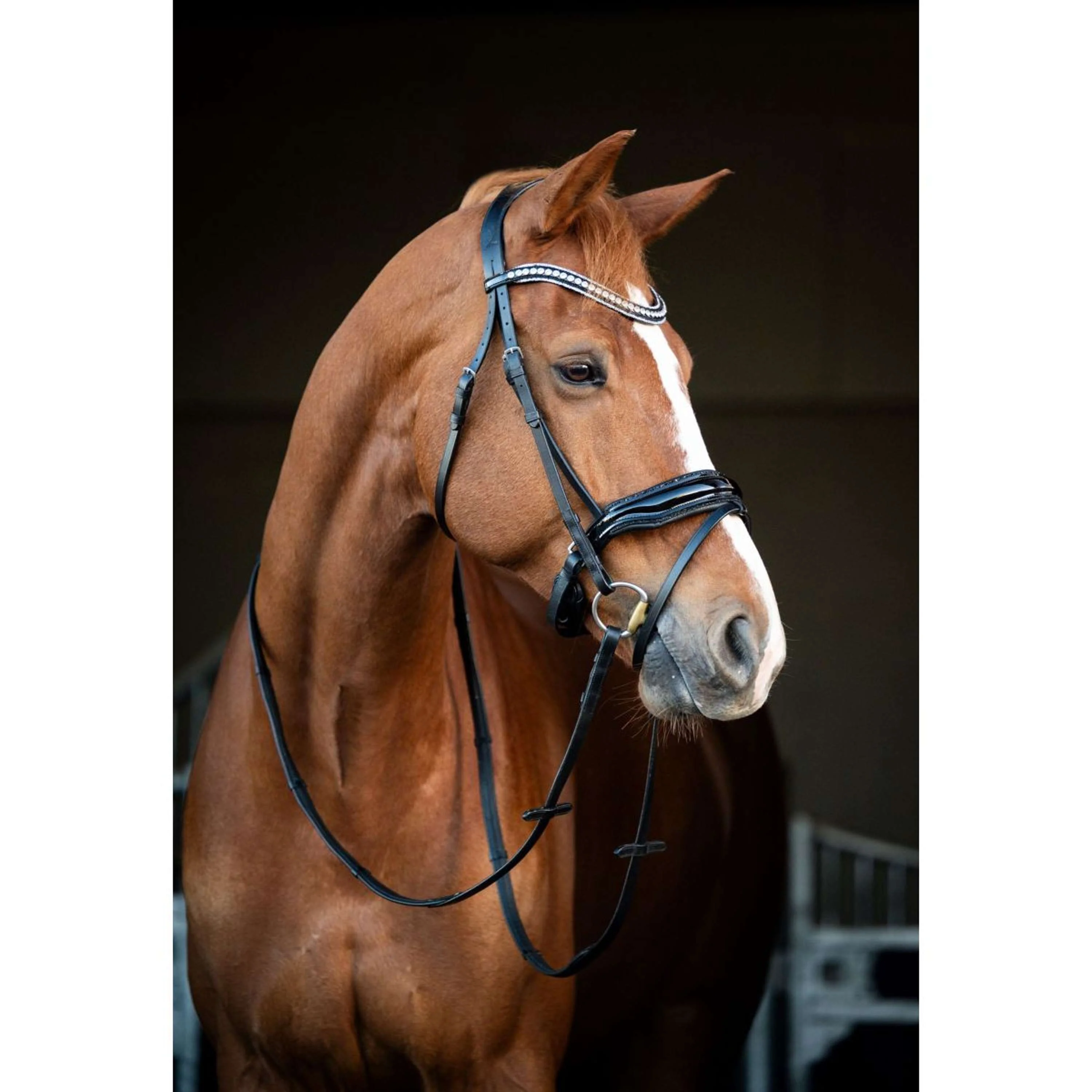 HB Briglia Snowflake Nero - Image 3