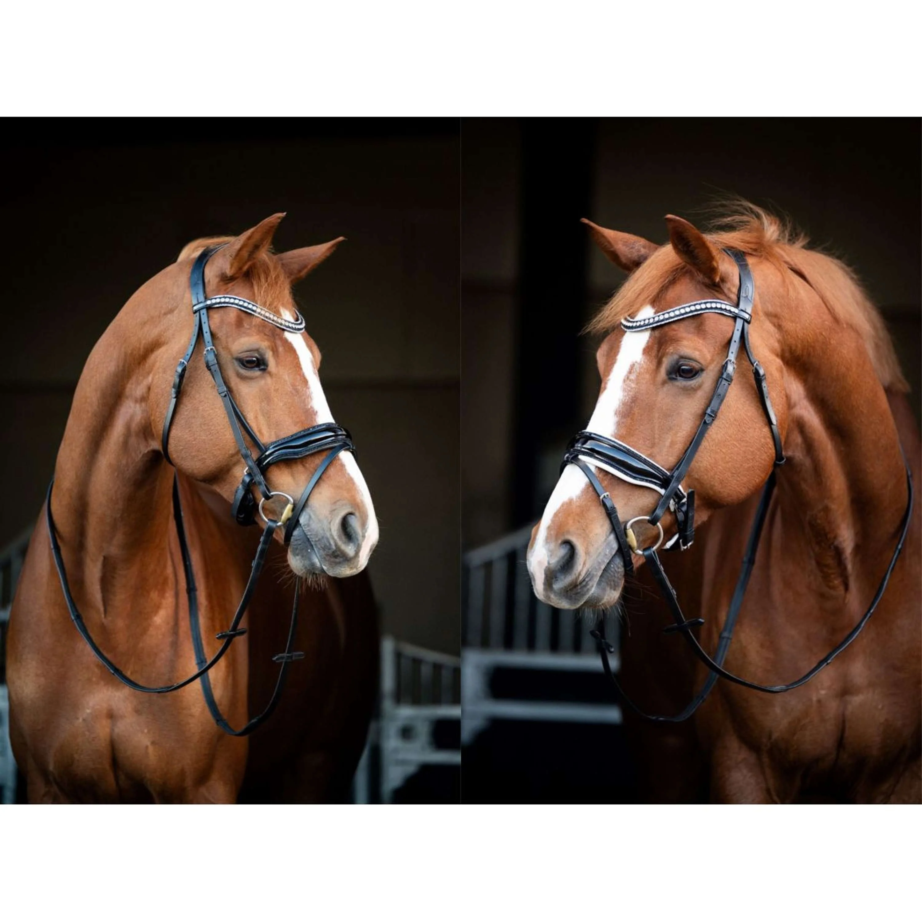 HB Briglia Snowflake Nero - Image 5