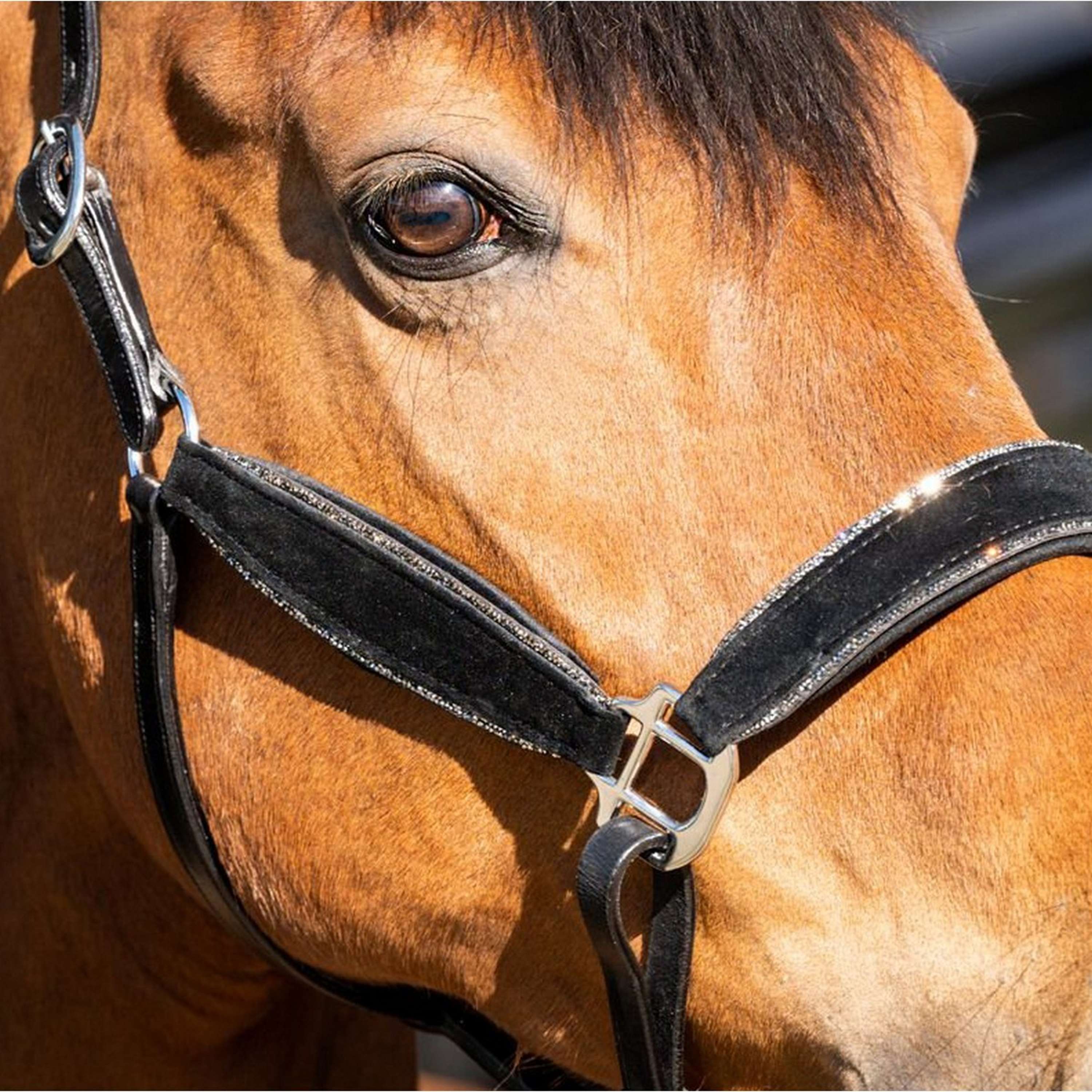 HB Capezzina Wisconsin Nero Argento - Image 5