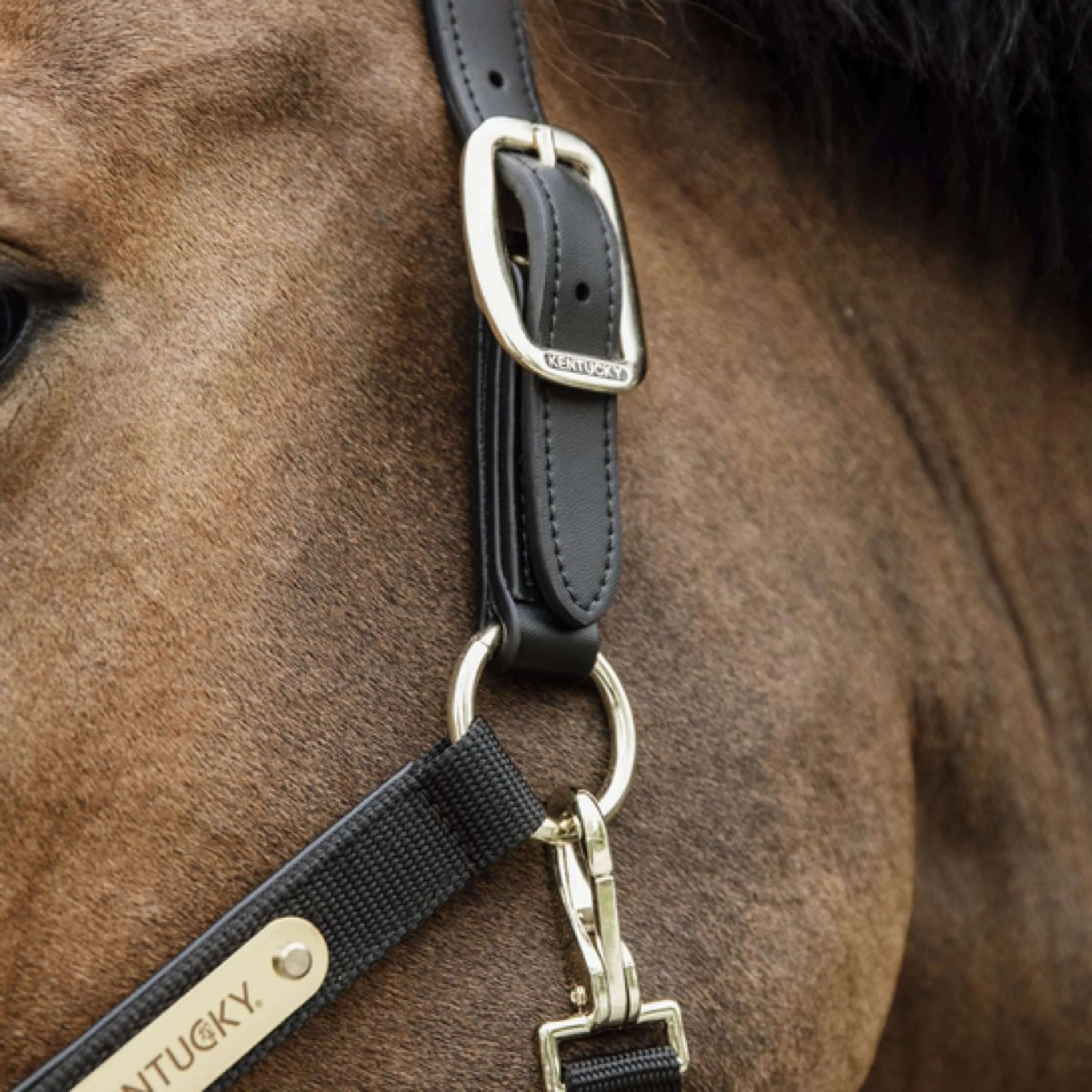 Kentucky Horsewear Capezzina Anatomic Nylon Nero - Image 4