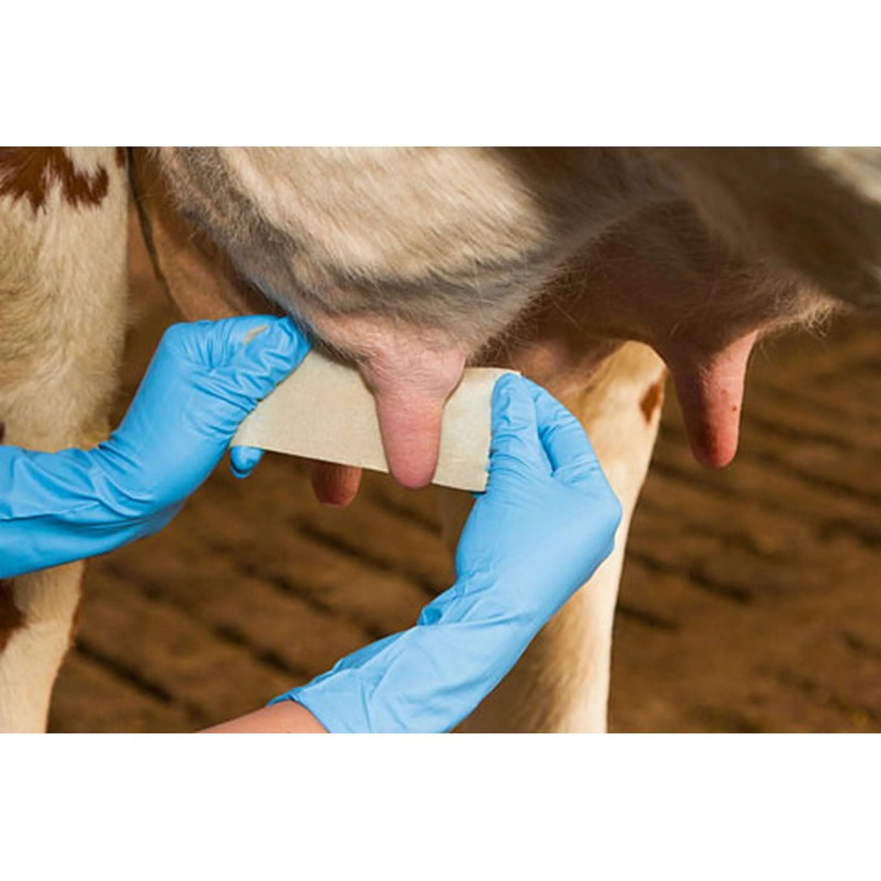 Kerbl Benda per capezzoli Udderosoft - Image 5