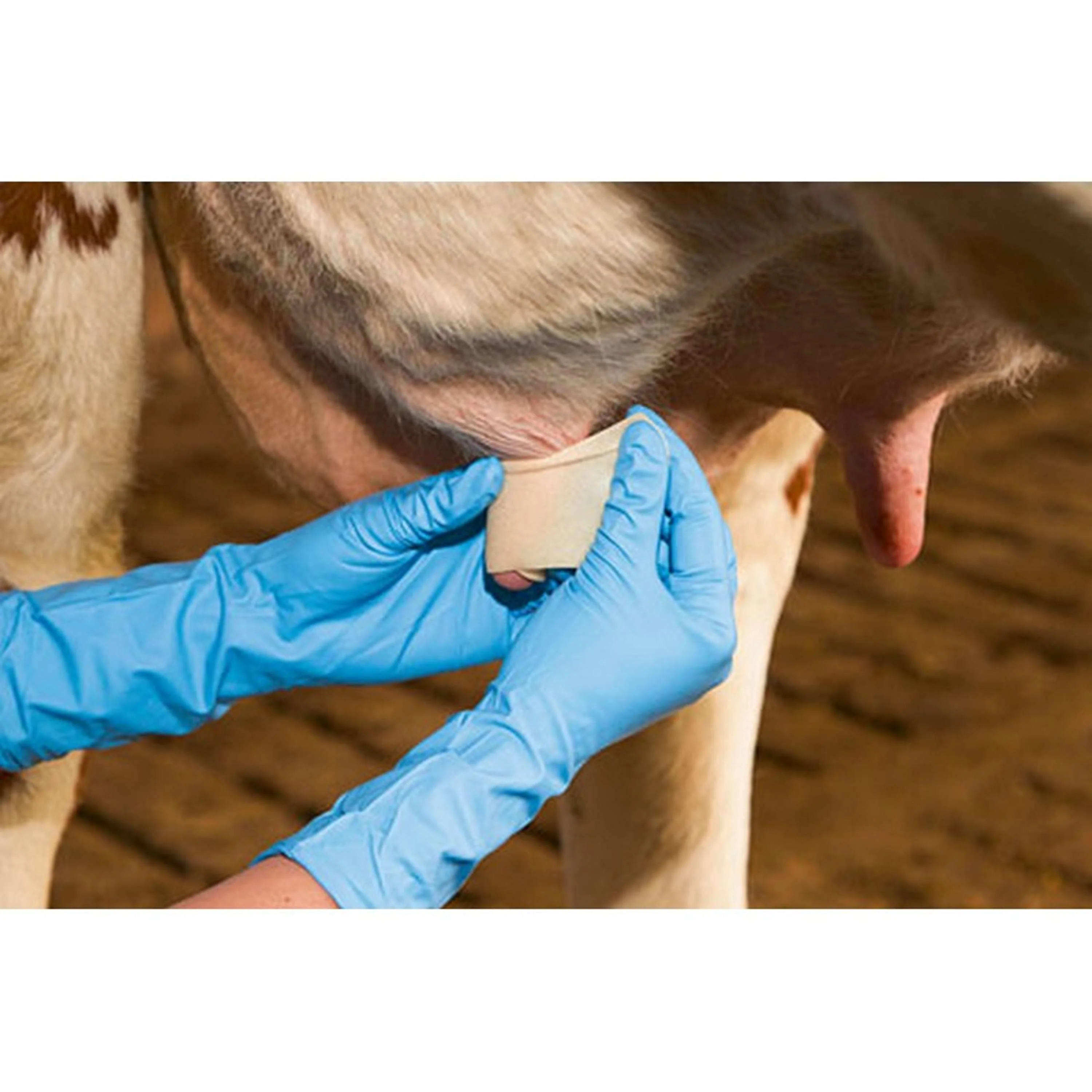 Kerbl Benda per capezzoli Udderosoft - Image 6