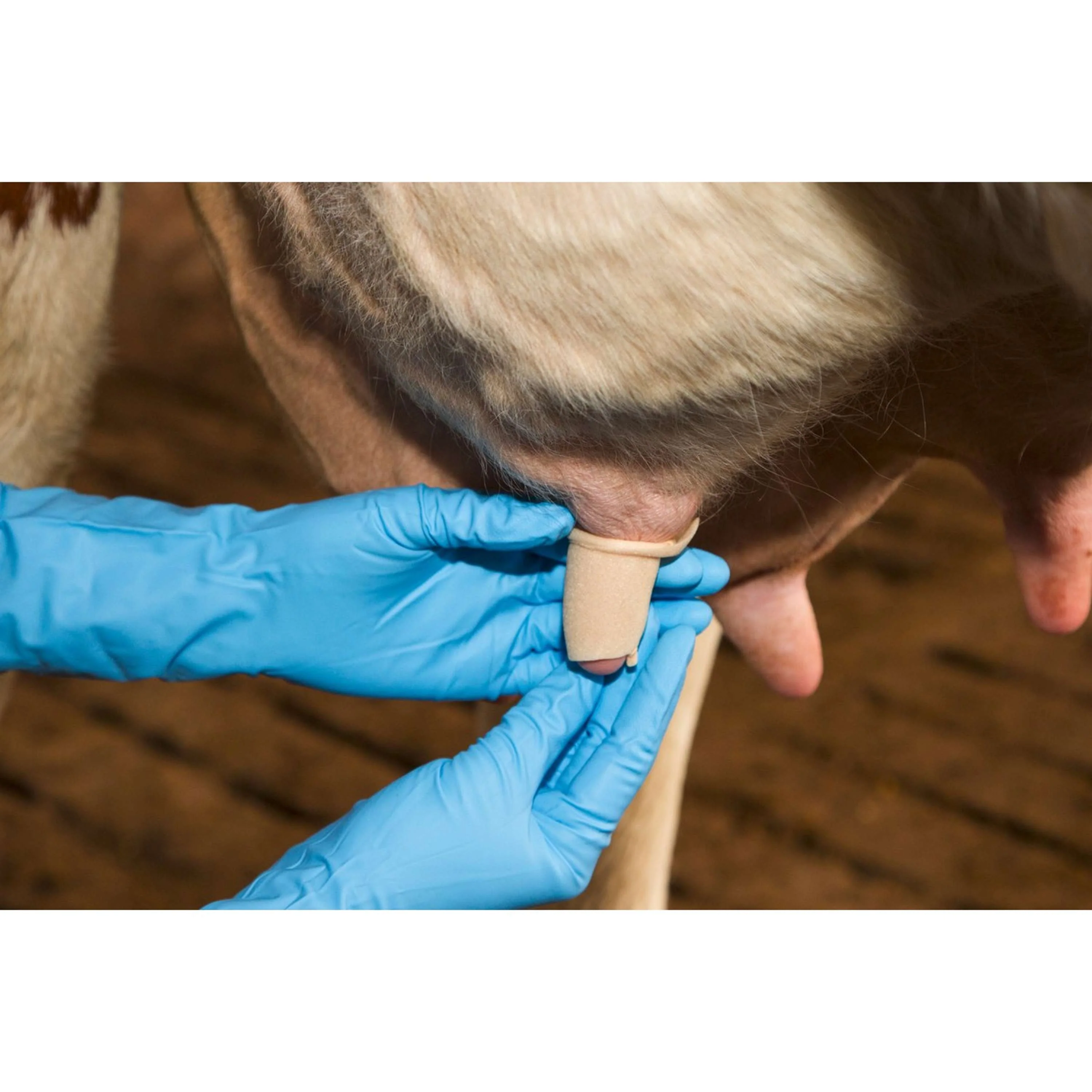 Kerbl Benda per capezzoli Udderosoft - Image 7