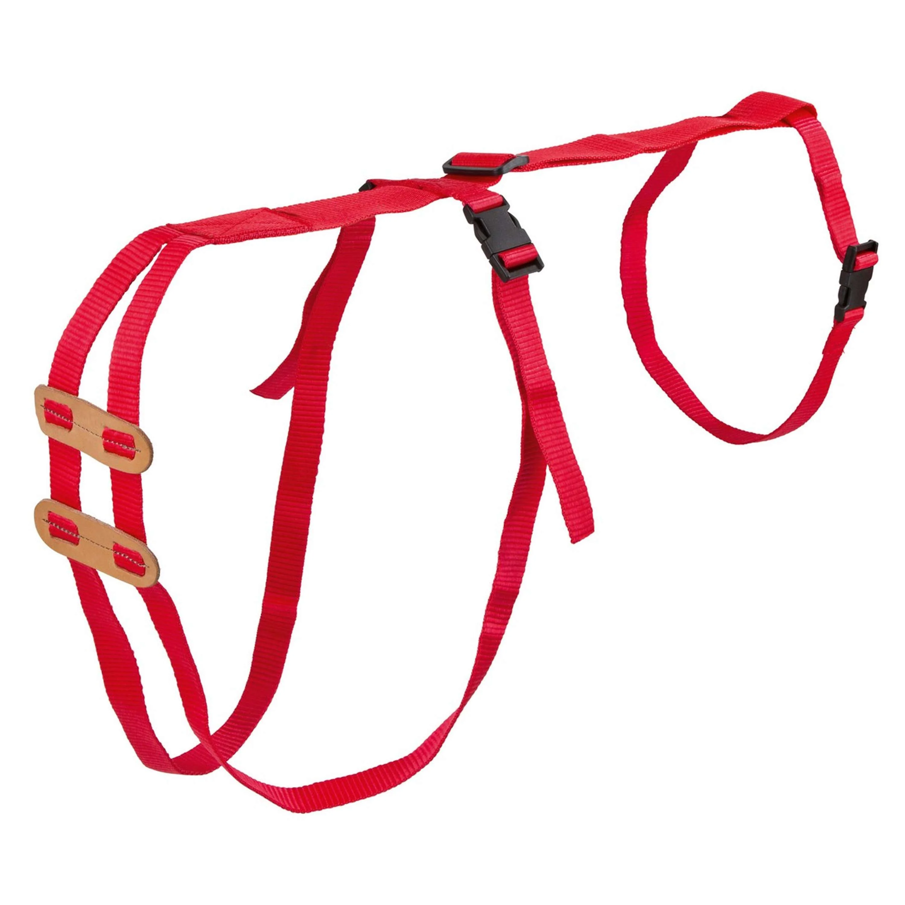 Kerbl Imbracatura per Prolasso - Image 3