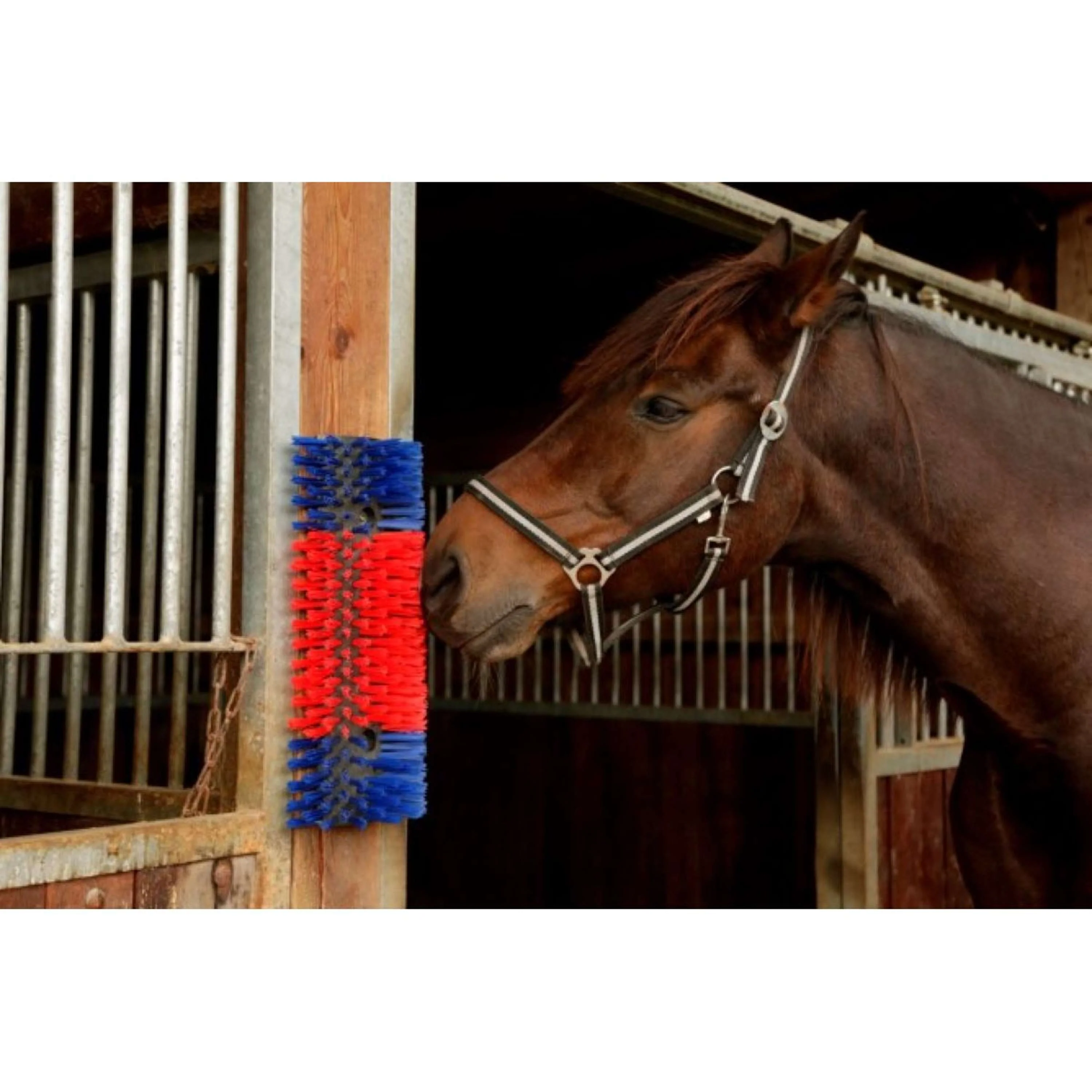 Kerbl Spazzola Semicircolare - Image 4