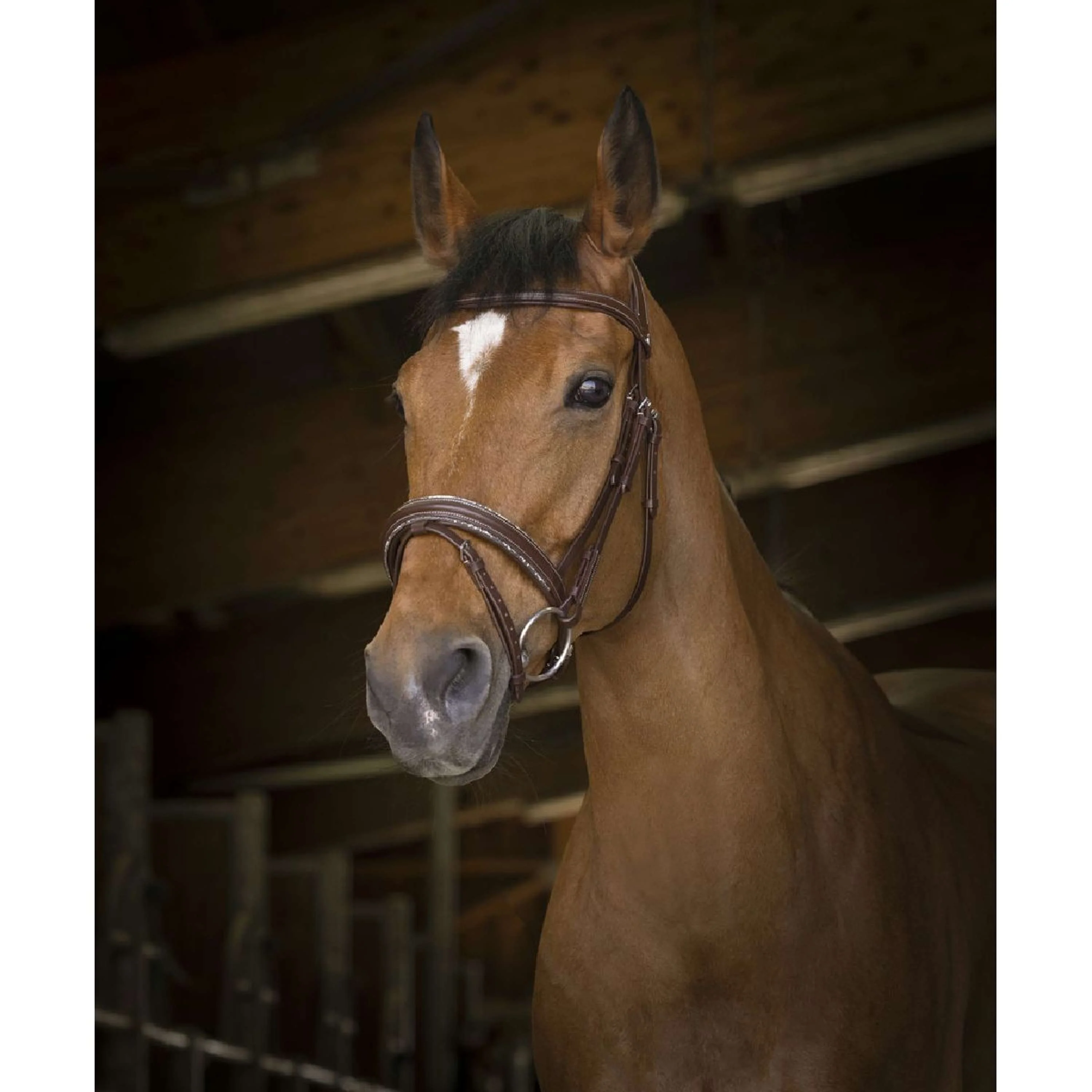 Norton Briglia Pro Rock L'Avana - Image 5