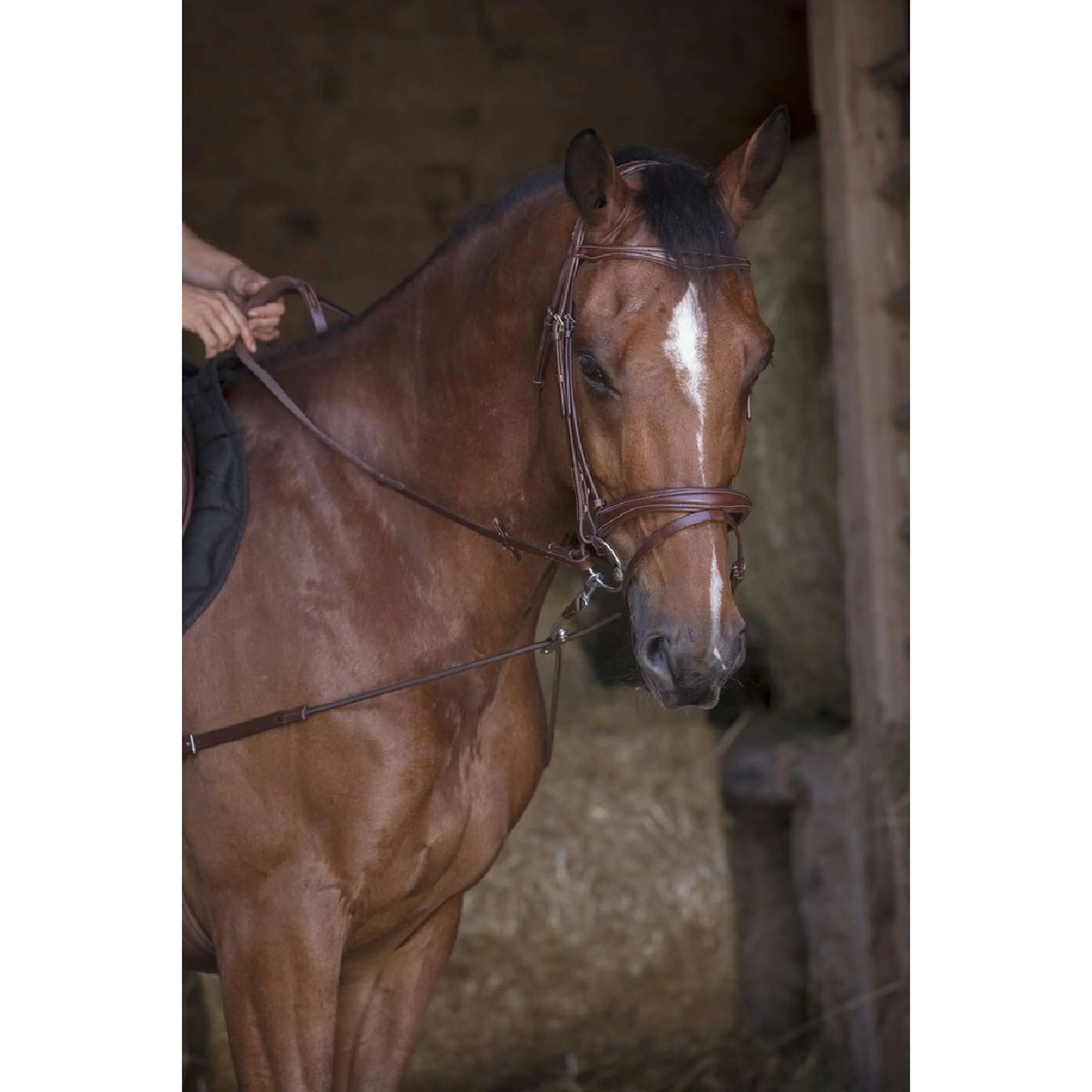 Norton Redini Laterali Pro Corto Elastico con Carrucole Havanna - Image 3